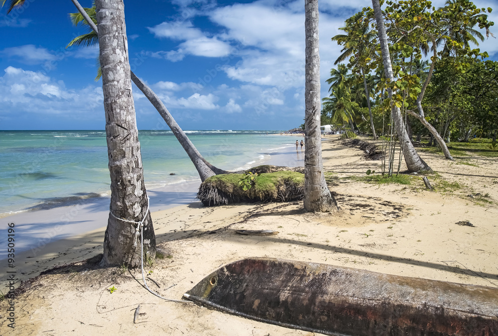 Tropical beach with palm trees and boat