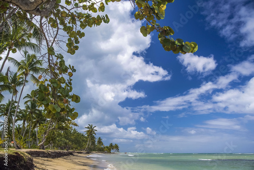 Caribbean beach with palm trees and blue sky