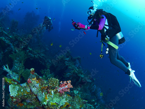 Obraz na plátně Potápěč s korálem