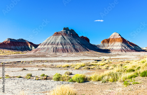 U.S.A., Arizona, the Painted Desert