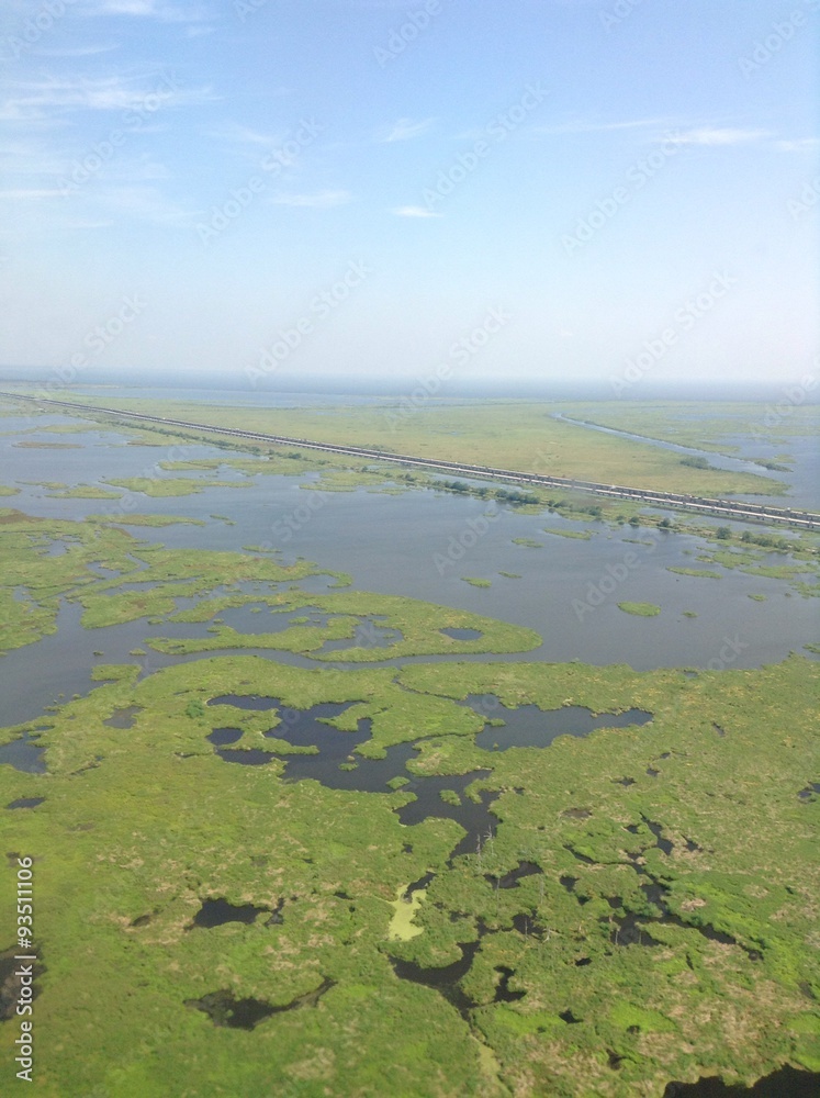 Aerial Swamp View