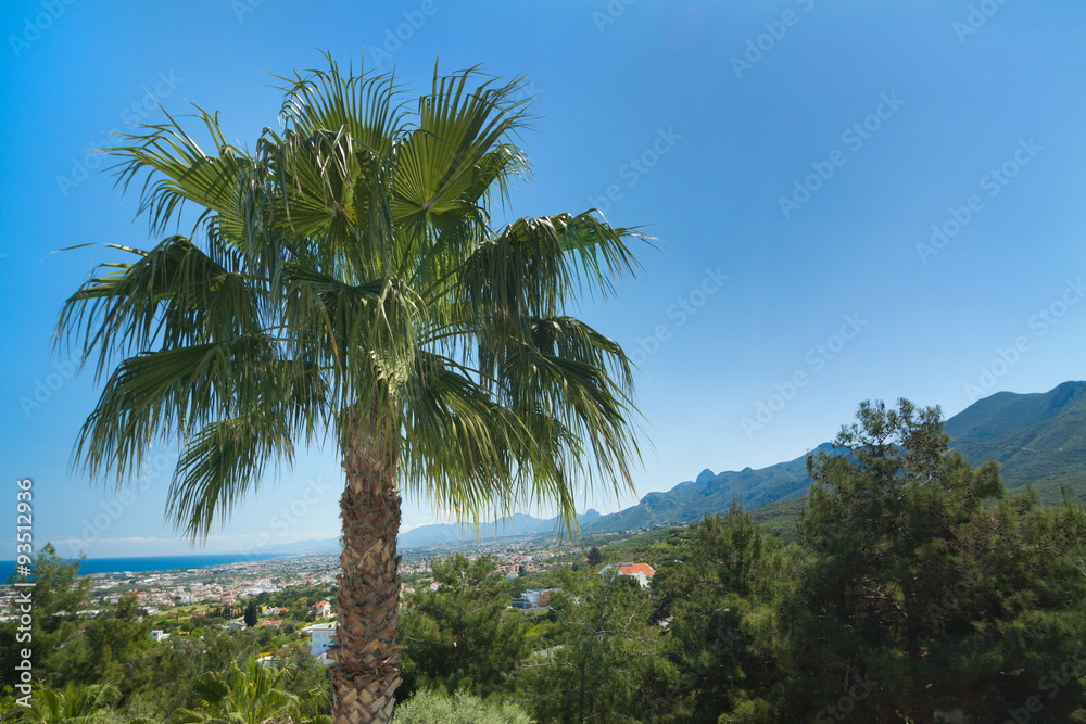 Nordzypern. Blick auf Girne mit Palme