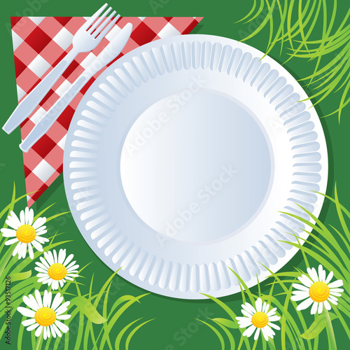Picnic plate and daisies