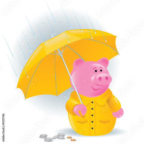 Savings for a Rainy Day