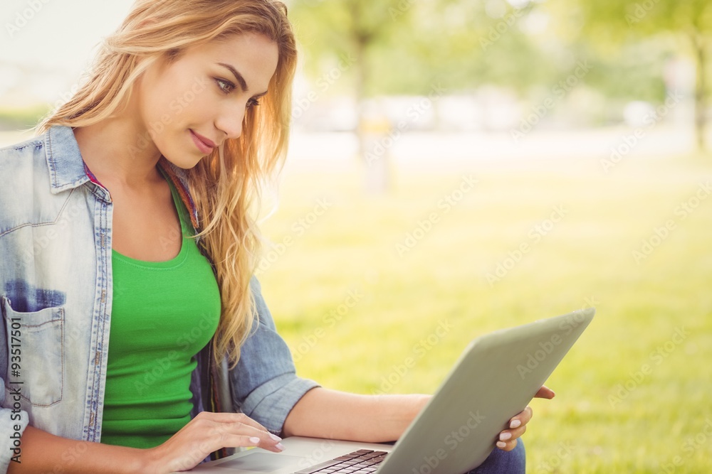 Smiling woman using laptop Smiling woman using laptop