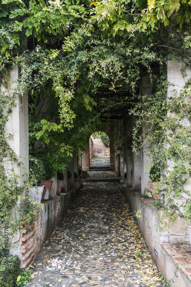 Entry to typical Andalusian court whit  shade and plants