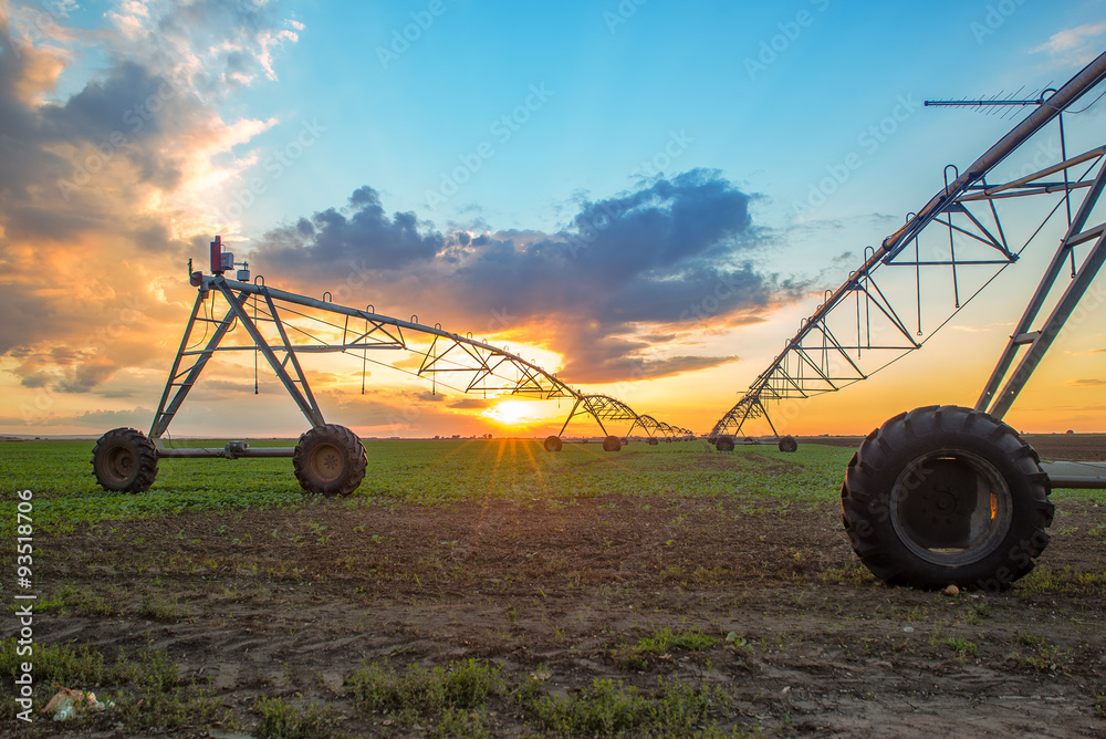 Automated farming irrigation system in sunset Automated farming irrigation system in sunset