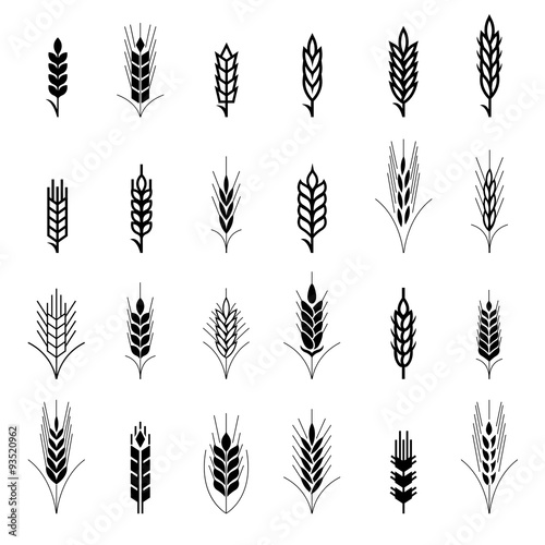 Wheat ear symbols for logo design
