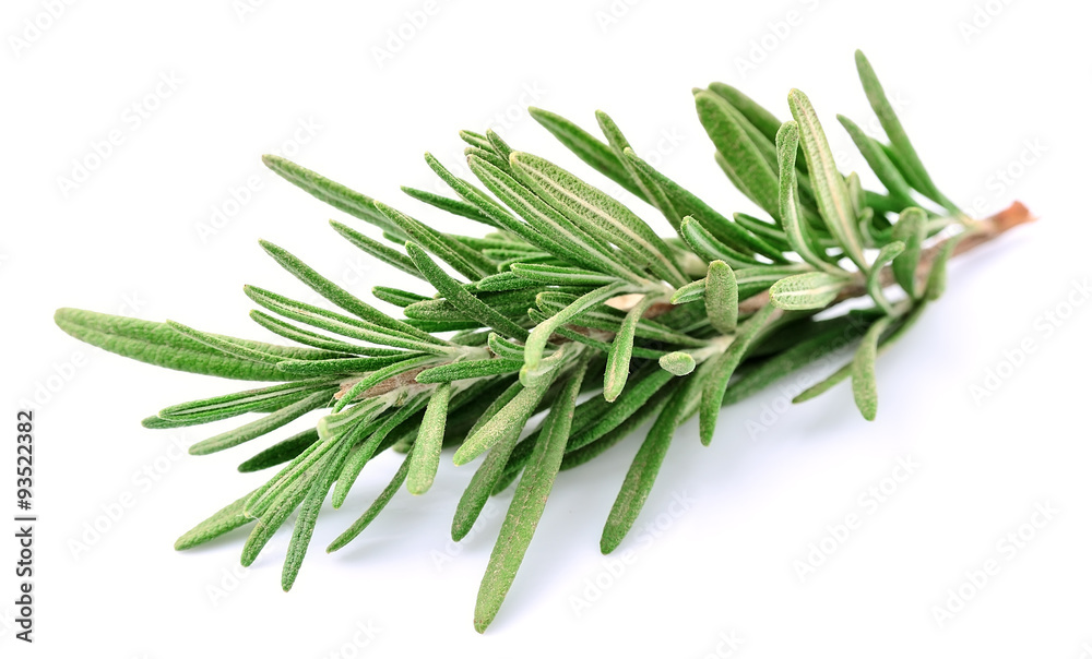 Twig of rosemary