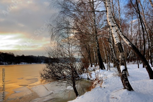 Winter sunset, birchwood, Moscow region, Russia.