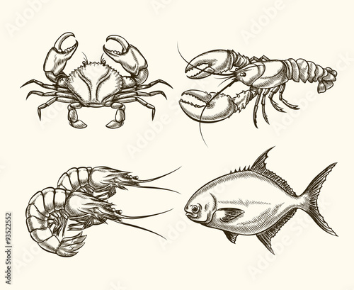 Vector seafood in hand drawn style
