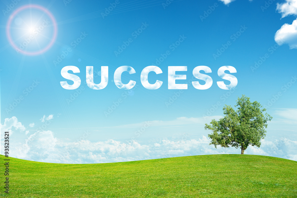 Landscape with success word