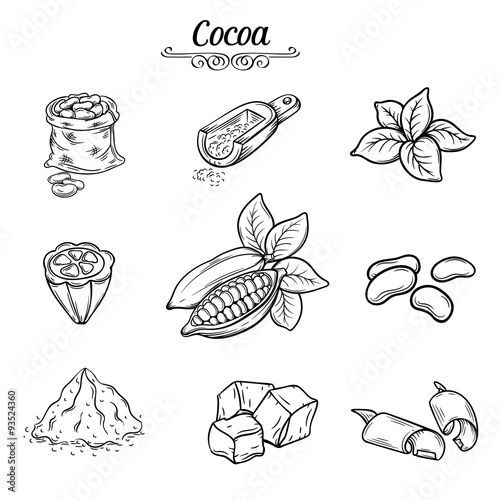 set decorative cocoa chocolate