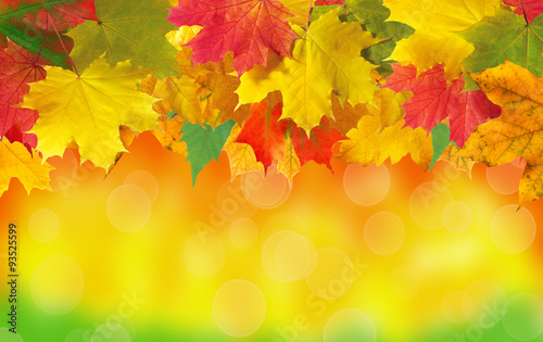 Autumn card of colored leaves over nature with copy space for yo