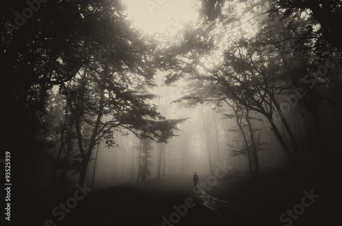 dark misty forest with man on path vintage sepia
