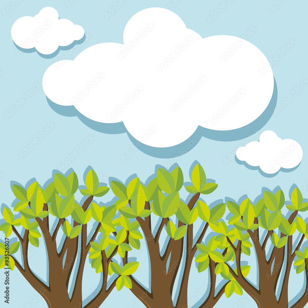 Obraz premium Evergreen forest at daytime