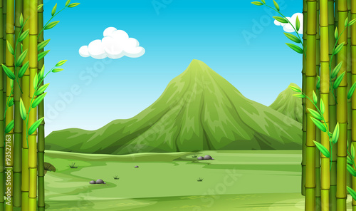 Nature scene with bamboo and hills