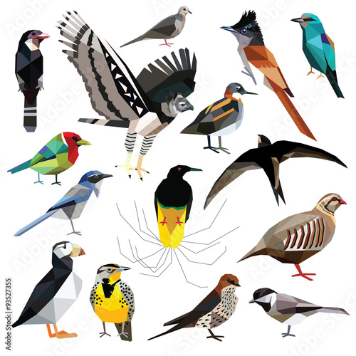 Birds-set colorful birds low poly design isolated on white background.
Flycatcher,Swift,Broadbill,Roller,Harpy eagle,Puffin,Barbet,Partridge,Phalarope,Tit,Dove,Swallow,Bird of paradise,Meadowlark,Jay