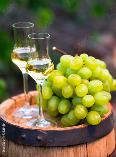 White wine bottle, glass, young vine and bunch of grapes against