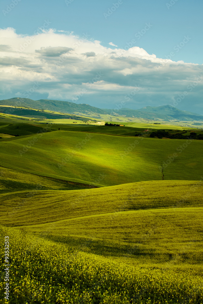 Green Tuscany hills