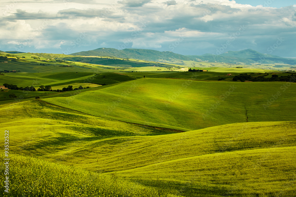 Obraz premium Green Tuscany hills