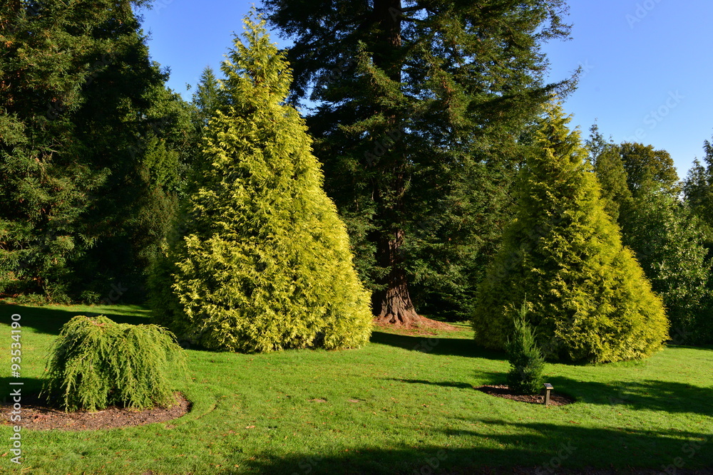 Naklejka premium An English country garden in the Autumn