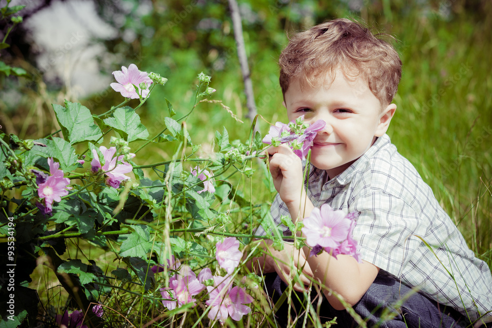 portrait of a little boy with wildflowers portrait of a little boy with wildflowers
