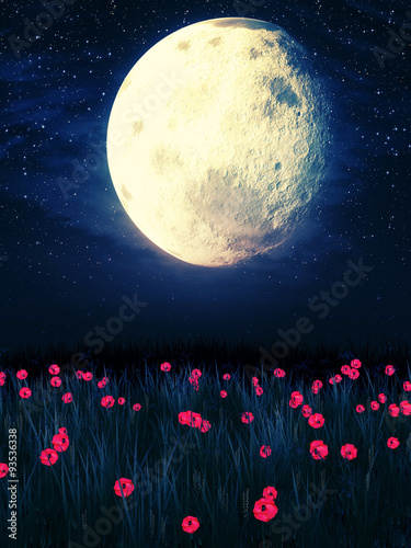 Moon over Grass Field #93536338