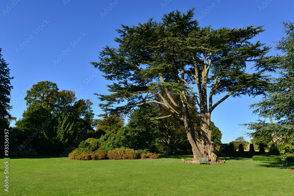 Fototapeta premium An English country estate in Autumn/fall 
