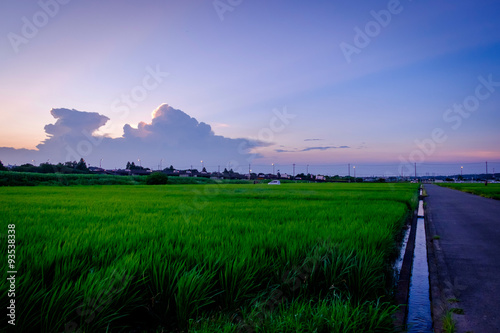 Japanese countryside