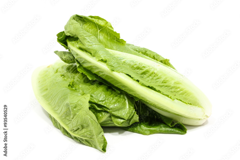 Cos lettuce Cos lettuce