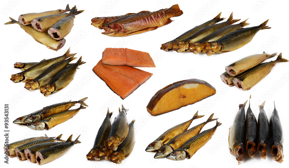 Fisch Fisch