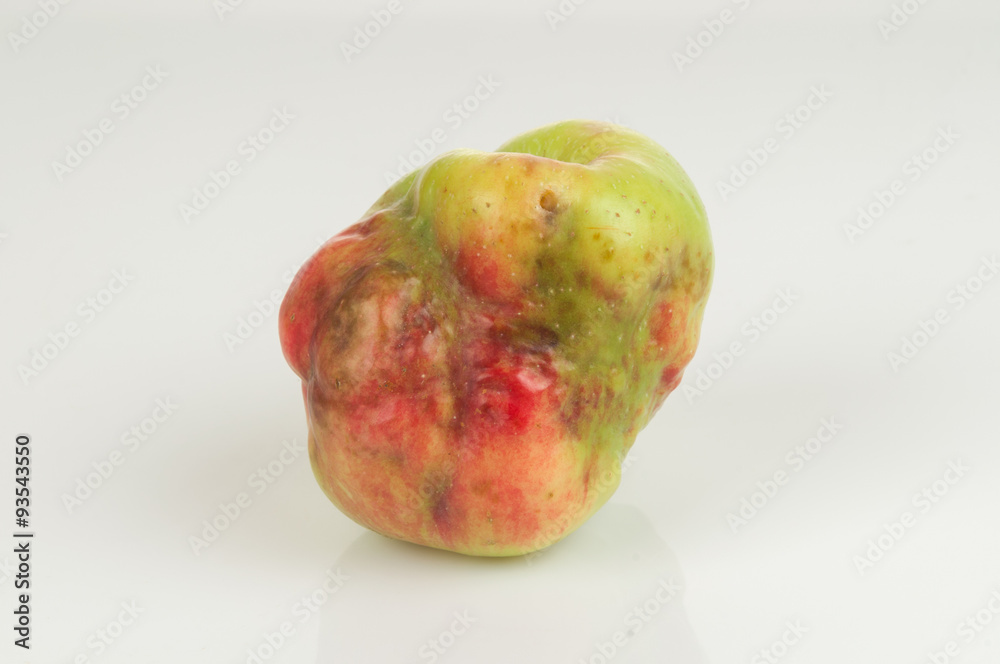 Conjoined apple on white background Conjoined apple on white background