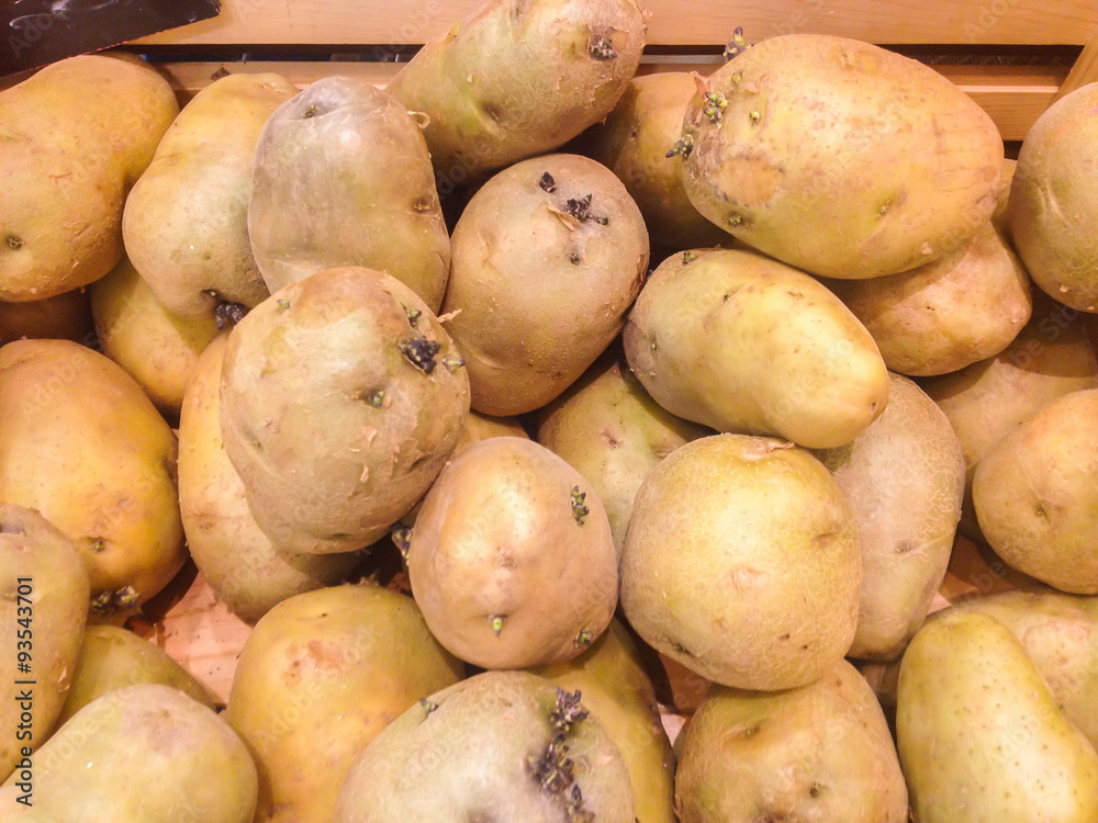 potato potato
