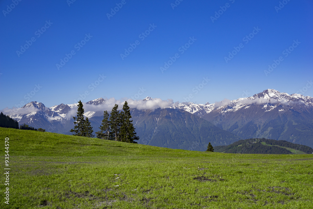 Almwiese mit schneebedeckten Bergen im Hintergrund