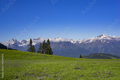 Almwiese mit schneebedeckten Bergen im Hintergrund