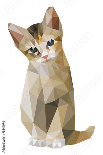 Brown cat sitting low polygon