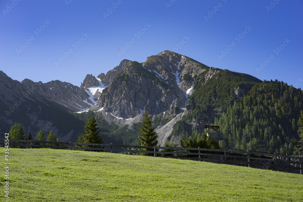 Almwiese mit Bergen im Hintergrund