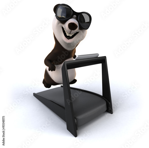 Fun panda © Julien Tromeur