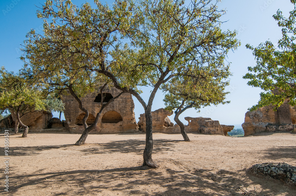Fototapeta premium Valley of the Temples in Agrigento - Sicily