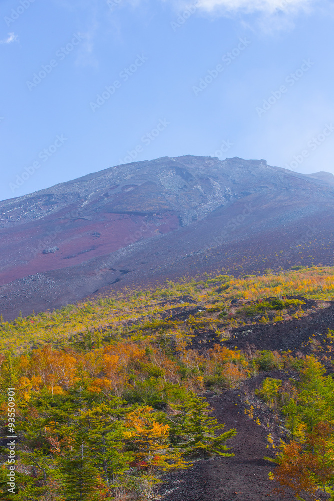 紅葉と富士山近景