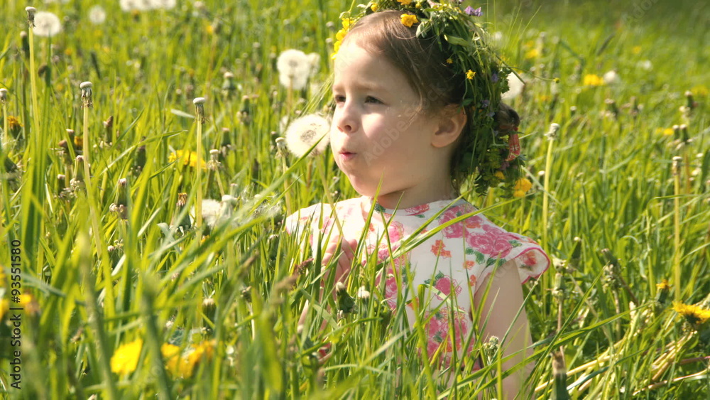 Ein kleines Mädchen sitzt in einer Wiese, pustet in eine Pusteblume und hat Spaß dabei Ein kleines Mädchen sitzt in einer Wiese, pustet in eine Pusteblume und hat Spaß dabei