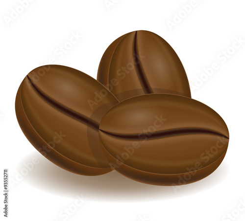 coffee beans vector illustration