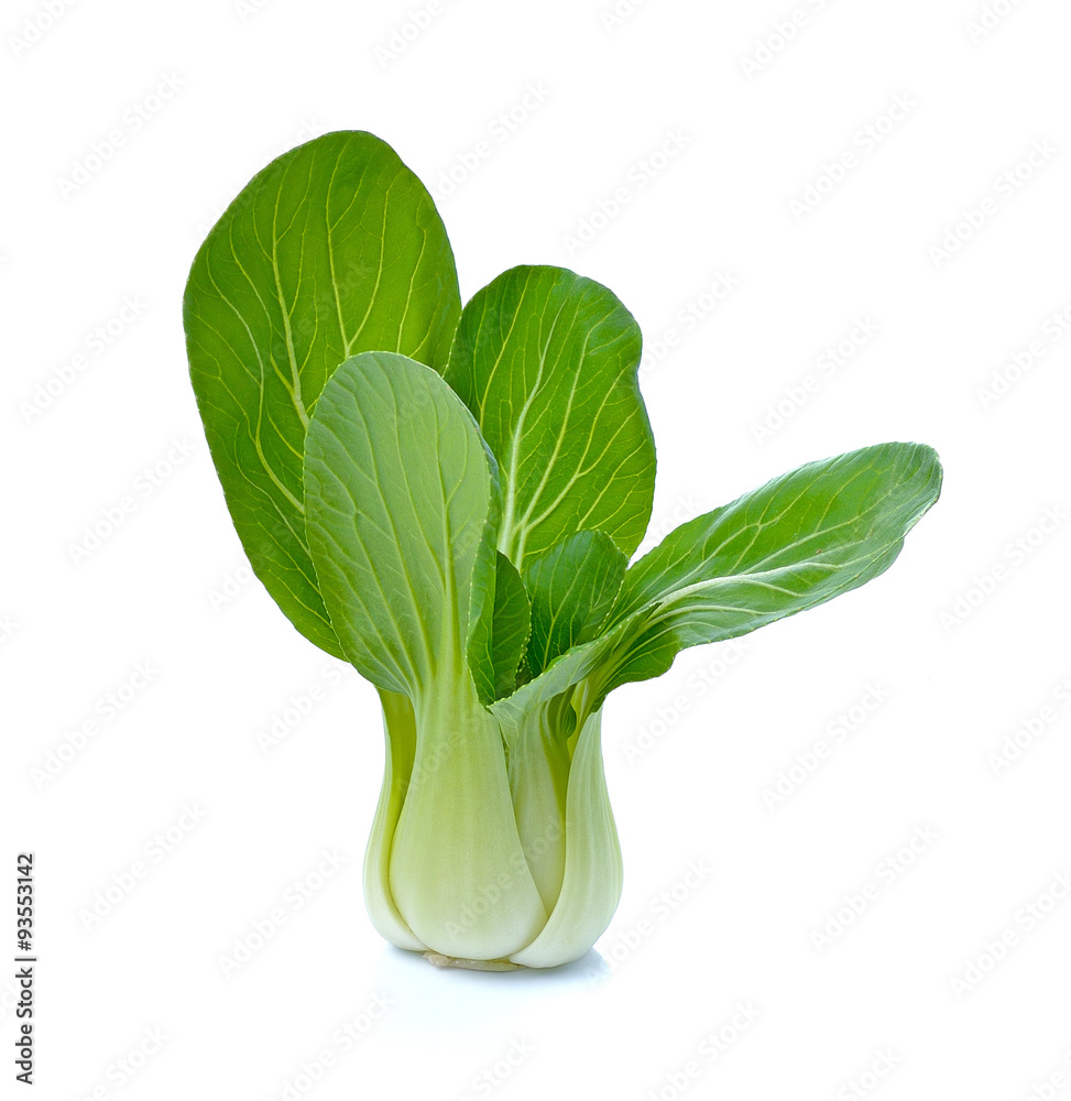 Bok choy (chinese cabbage) isolated on white Bok choy (chinese cabbage) isolated on white