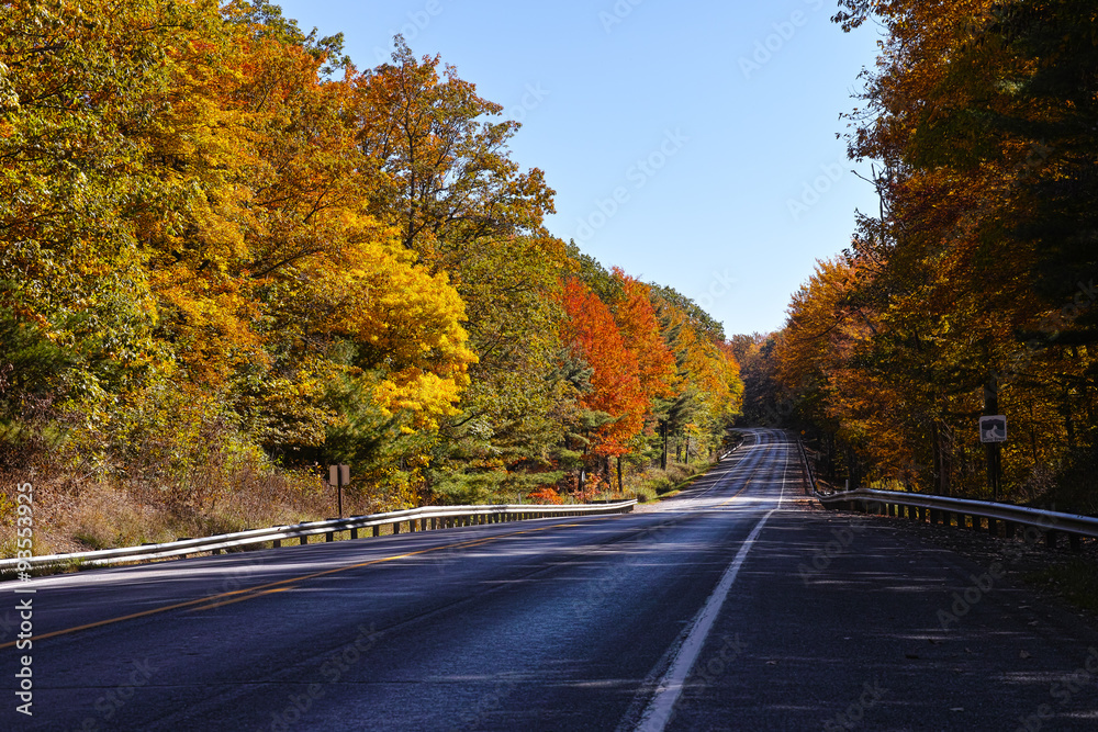 Fototapeta premium Longhouse scenic drive in autumn