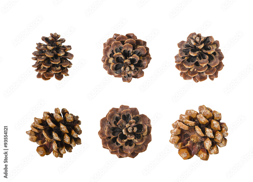 Big set of cones isolated on white Big set of cones isolated on white