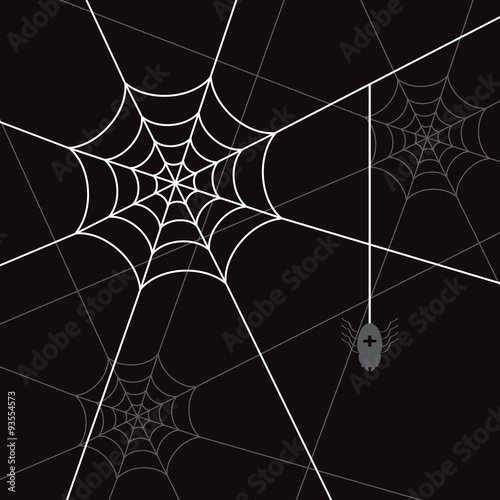 spider white web and litle spider black eps10