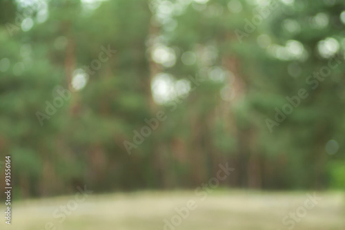 Blurry nature wallpaper. Forest bokeh background. Green defocused backdrop for your design. 