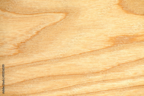 Obraz na płótnie beech tree texture wallpaper. Close-up photo of beech tree texture. Nature background w salonie