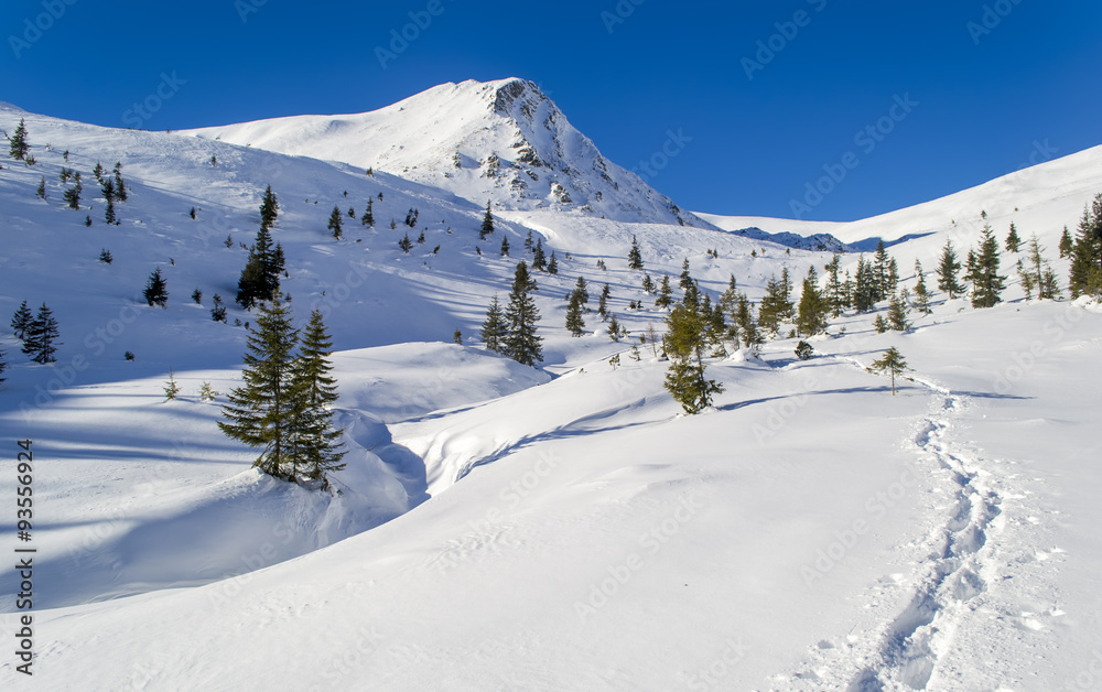 Footpath in the snow to the mountain. Trees. Clear sky, sunny. Winter. Ukraine